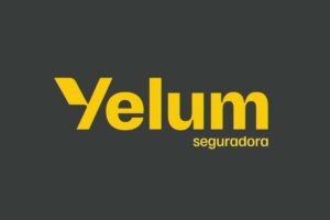 parceiro seguro (35)