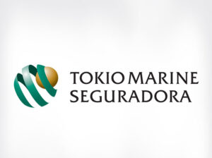 parceiro seguro (36)